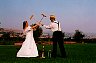 Croquet mallets