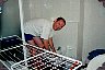 pic4.jpg