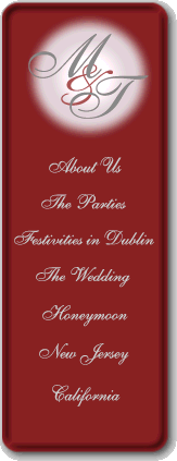 Mark & Tanya's Wedding