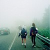 Walk