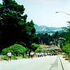 The Presidio