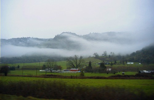 Fields and Mist
