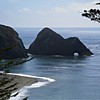 The Cove