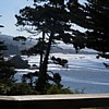 The View