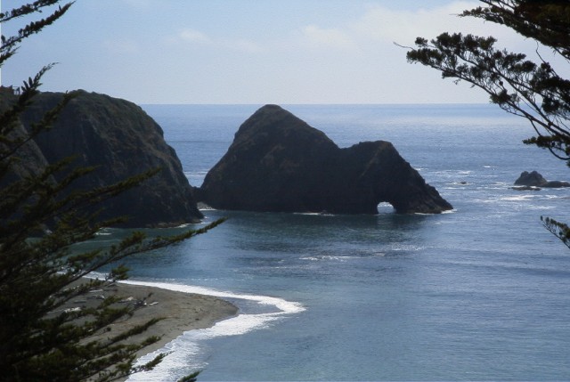 The Cove