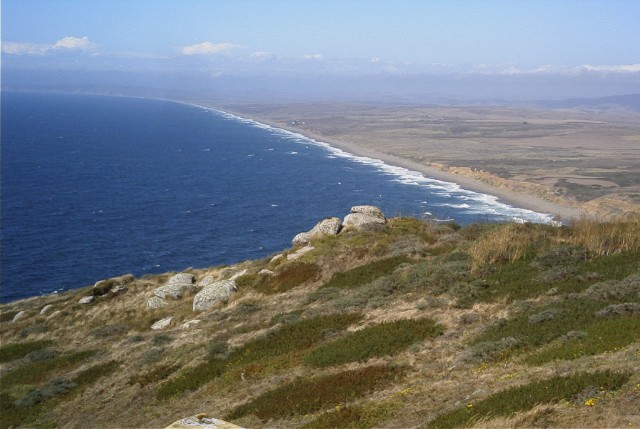 Reyes Shoreline