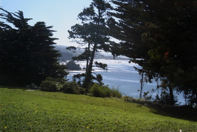 The View