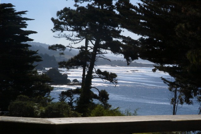 The View