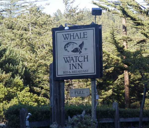 Whale Watch Inn