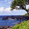 The Hana coastline