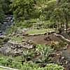 Iao needle gardens