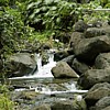 A babbling stream