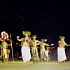 Luau dancers