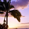 Hawaii sunset