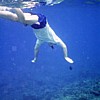 Mark tries to dive