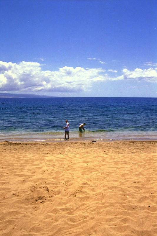 A day at the beach