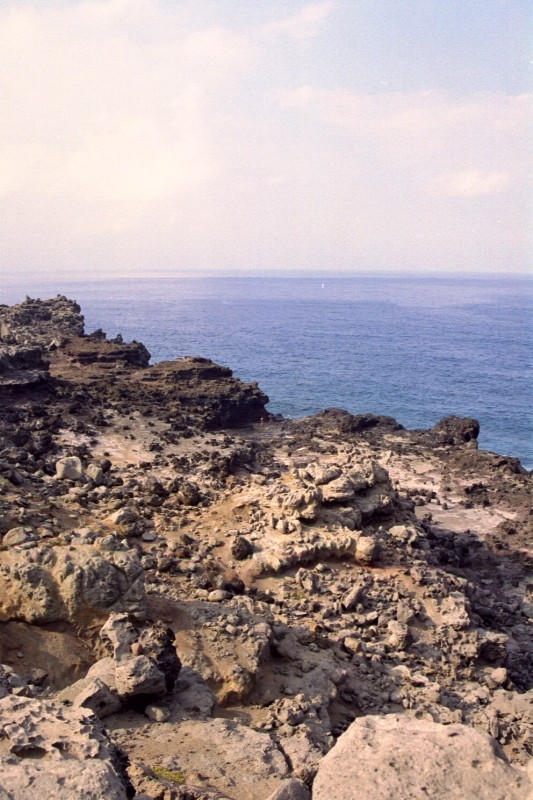 At the blowhole