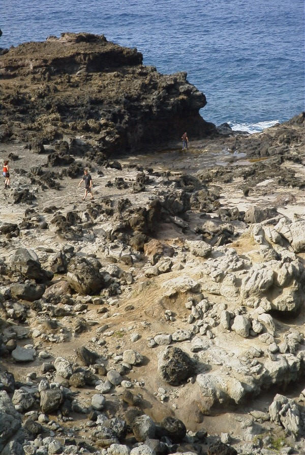At the blowhole