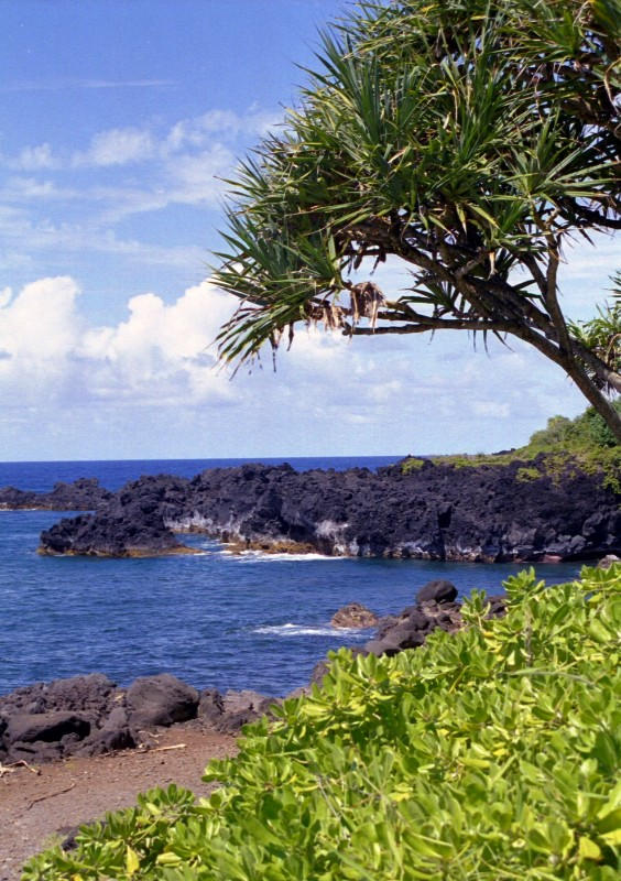 The Hana coastline