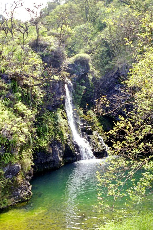 Clear pool