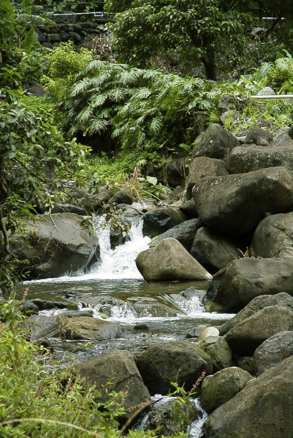 A babbling stream