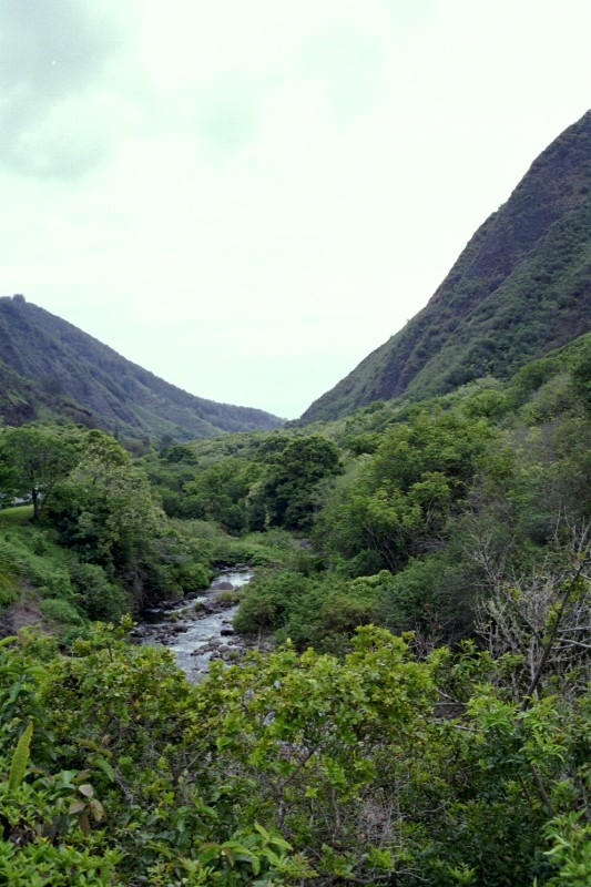 Iao needle valley