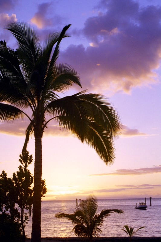 Hawaii sunset