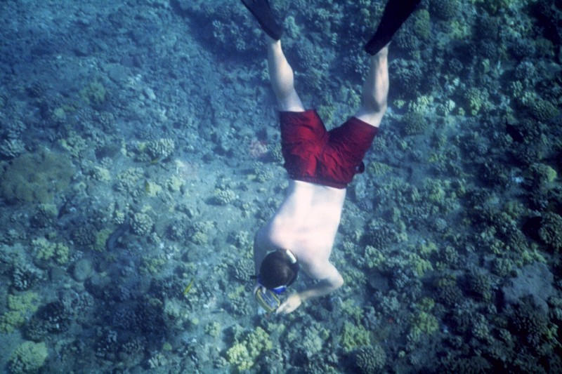 Sean diving