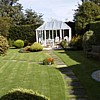 the garden
