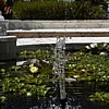 Water Fountain