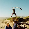 Bryn Flies