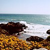 Morro Coast