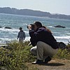 Photographer