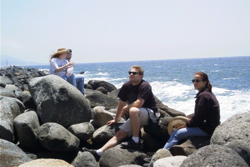 Rocks