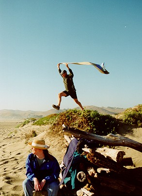 Bryn Flies