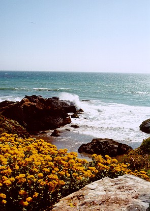 Morro Coast