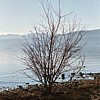 Lake Tahoe
