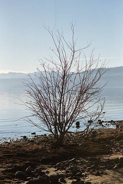 Lake Tahoe