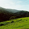 Beautiful Hills