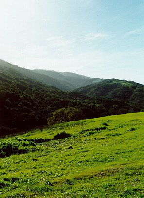 Beautiful Hills