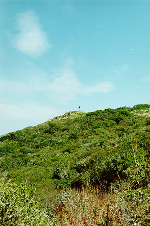 Bryn