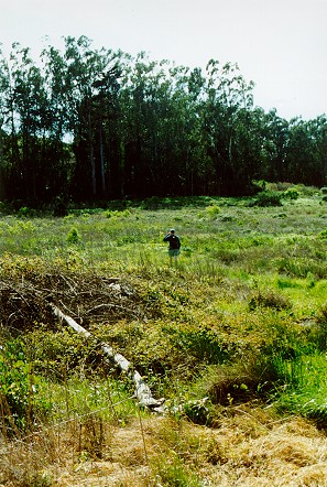 Bryn leads the way into the jungle known as San Bruno