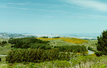 San Bruno hills