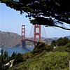 The bridge