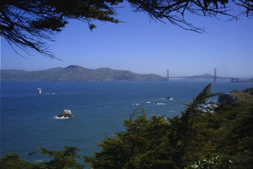 San Francisco Bay