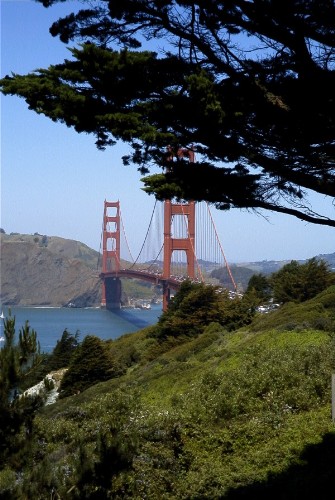 The bridge