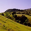Sunol