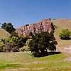 Sunol
