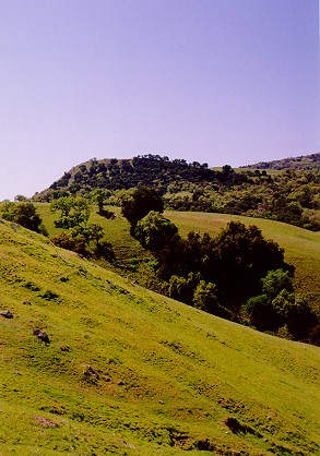 Sunol