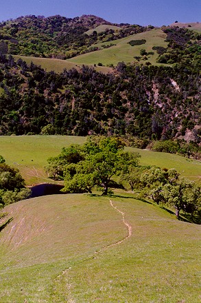 Sunol